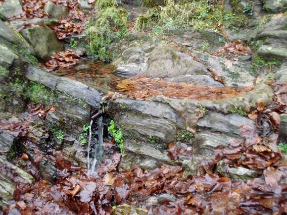 Mandaska iturria Kurutzebakarretik gertu