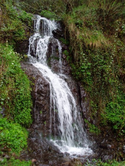 Aseginolatzako urjauzia