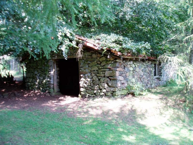 Artzai txabola Maurketa lepoan