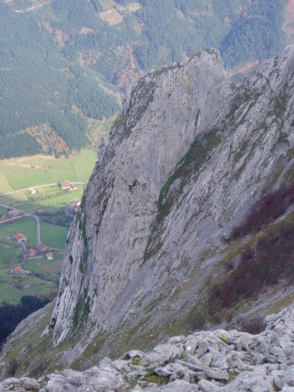 Frailia haitza Elgoinetik ikusita