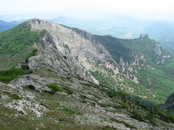 Ikuspegi zabala Joarretik