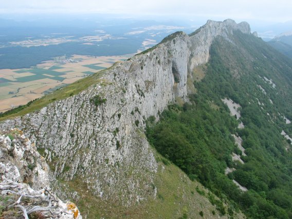 San Tirsora lotzen duen gandorra