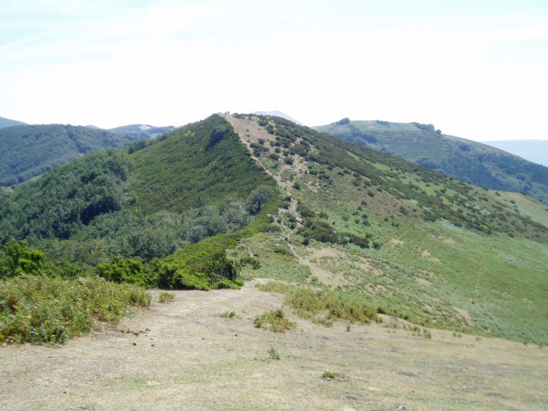 Zurkuntzetik ikusita