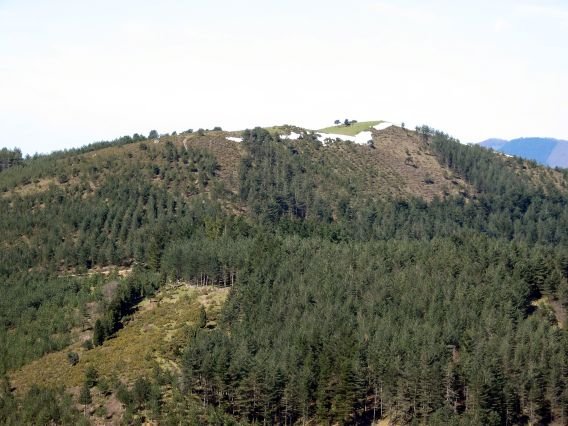 Ollargaindik ikusita