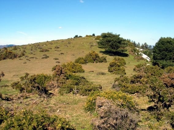 Tontorrera inguratzen Htik