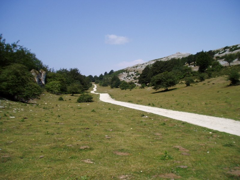 Lizarraga mendatetik Urbasaruntz doan bidea