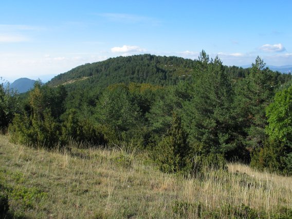 Illon aldetik ikusita