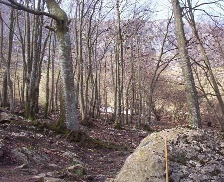 La Piedra del Cojo, Lendoñoko igoeratik