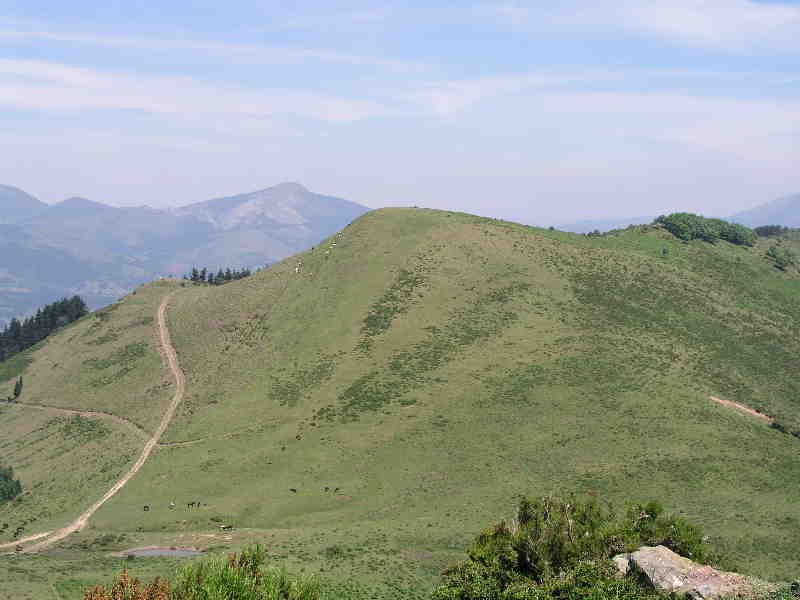 Espaldaseca Trasmosomostik