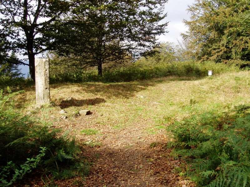 Irumugarrietako tontorra