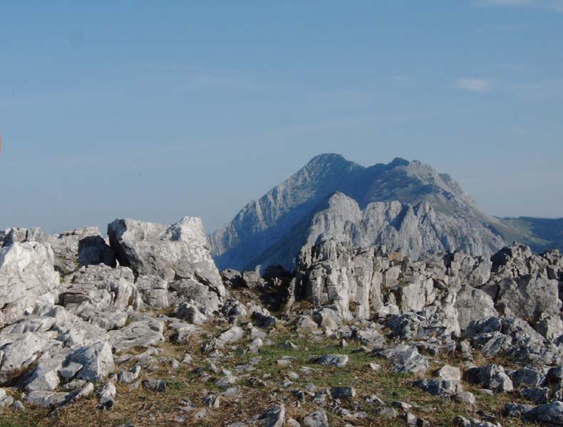 UNTZILLATXEKO TONTORRA