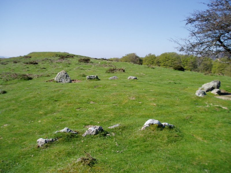 Soroluzeko mairu-baratzea