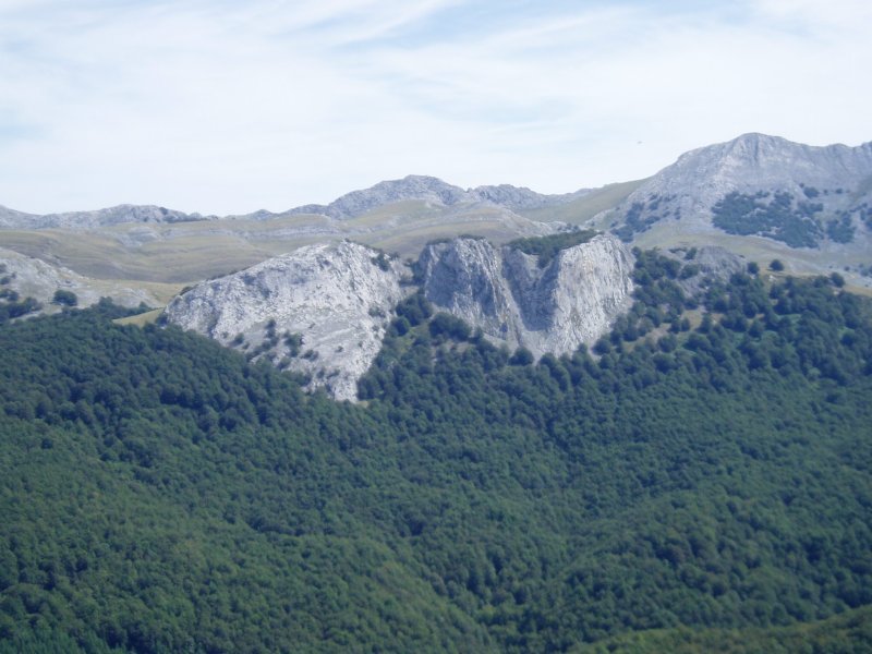 Zurkuntzetik ikusita