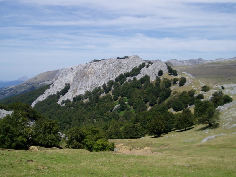 Petrinaitz ingurutik ikusita