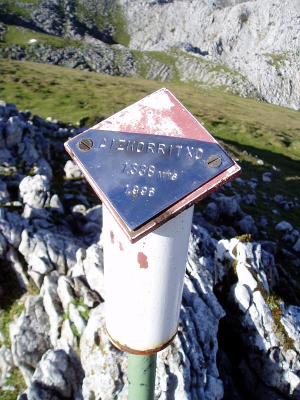 Aizkorritxoko buzoia