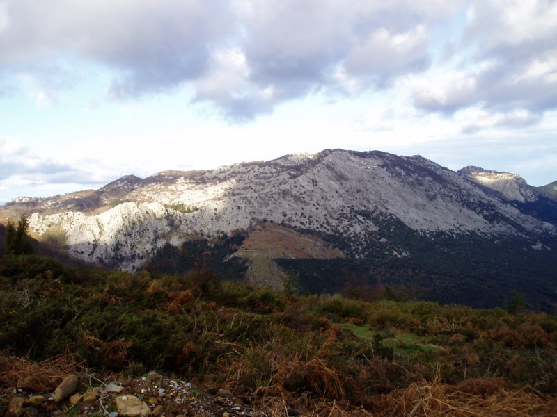 Hego-ekialdetik ikusita