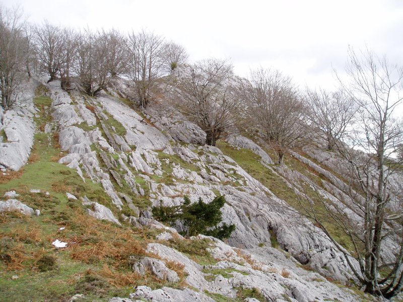 Karst eremuko arrakalak Iturriotzeko lepotik igotzen den bidean