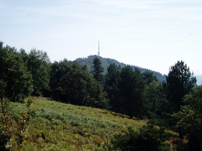 Jentiletxetik ikusita