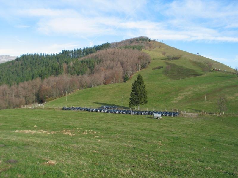 HMko lepotik ikusita