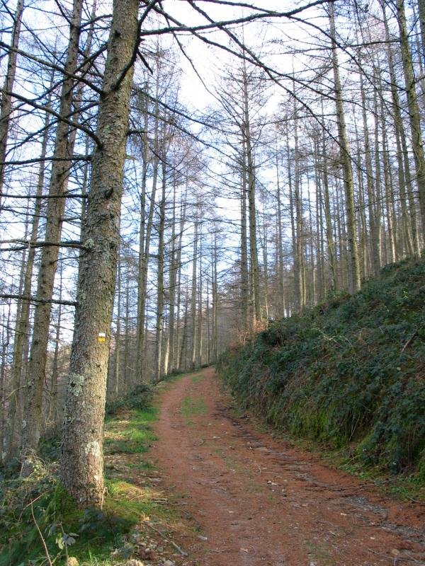 Andramuñotik gandorrera igotzen den bidea