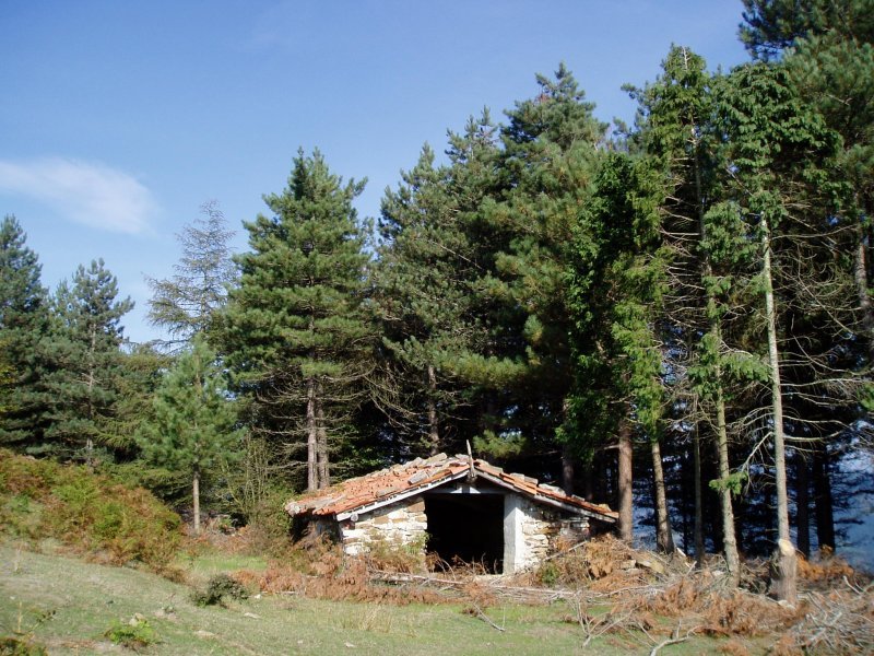 Txabola bat Ardamita lepotik igotzen den bidean
