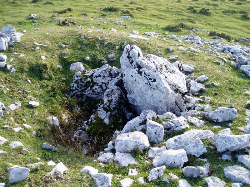 Artzanburu trikuharria