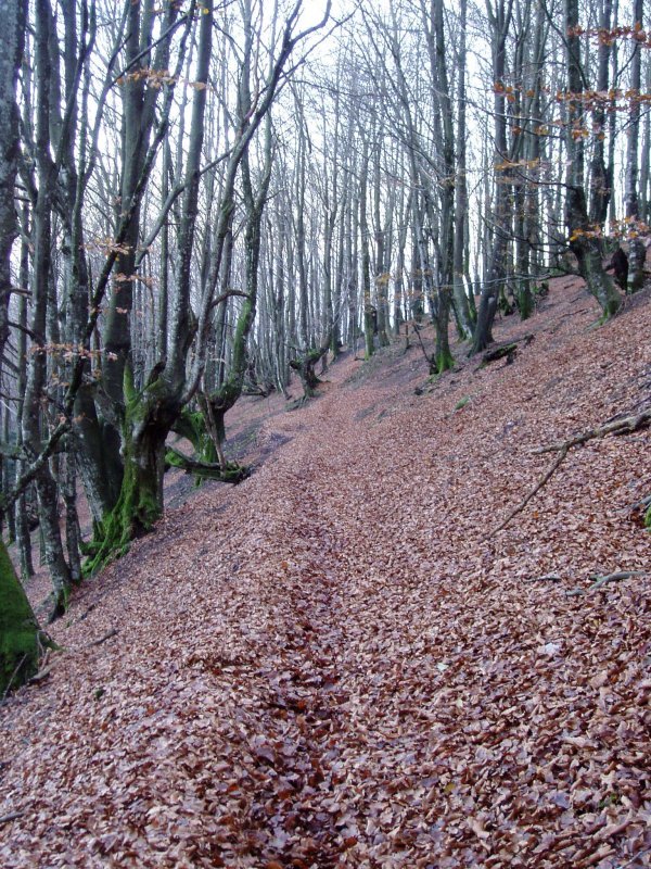 Biozkorniatik Intzuzaeta lepora jaisten den bidea