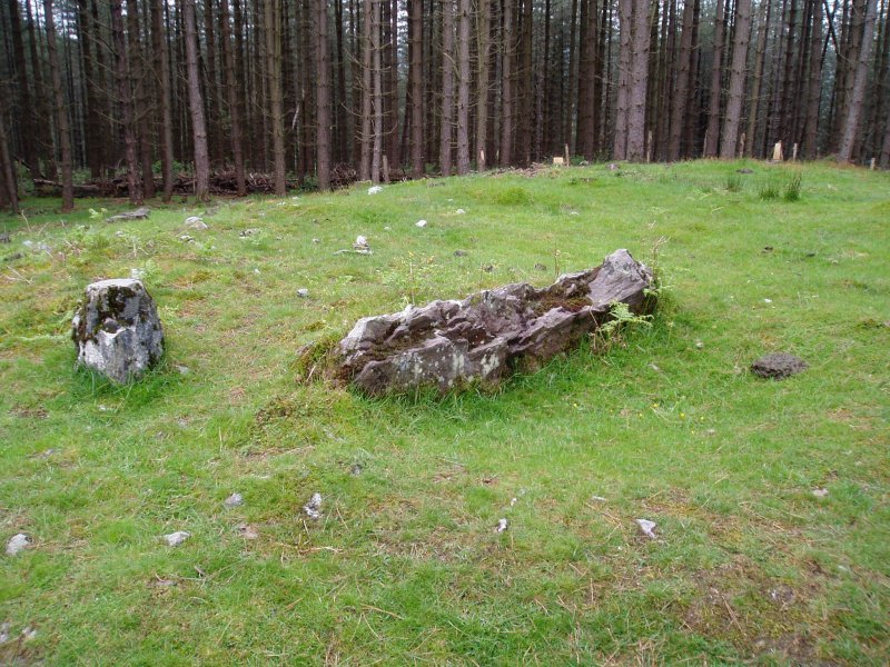 Otsolepoko trikuharria