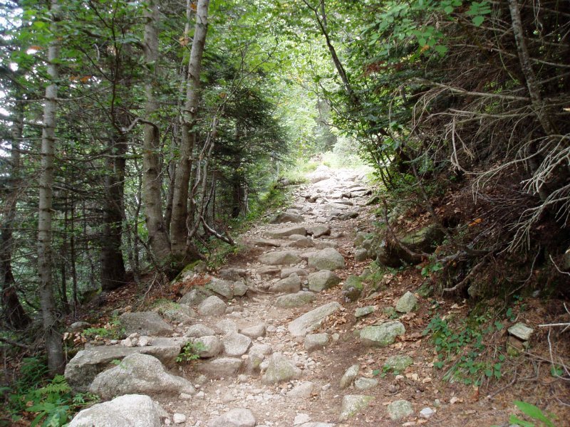 Pontet de Rius-etik Restancara igotzen den bidea