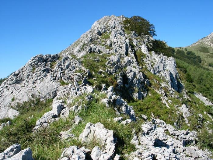 Xoxoteko gandorra Naarsun inguruan hasten da