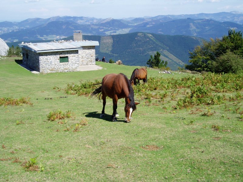 Zabalaundiko aterpea