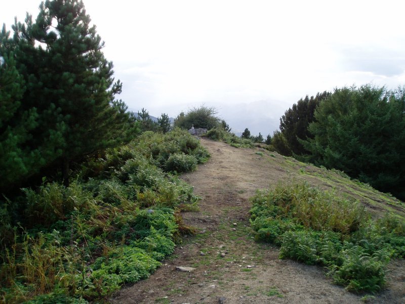 Tontorra ekialdetik ikusita