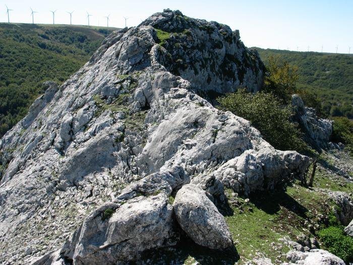 Tontorra Iparraldetik