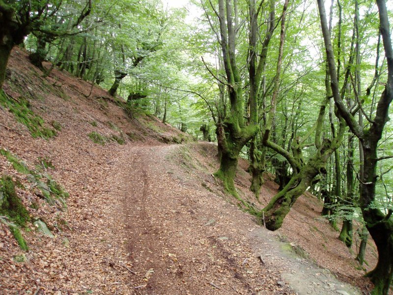Bidea ipar-mendebaldeko magaleko pagadian zehar