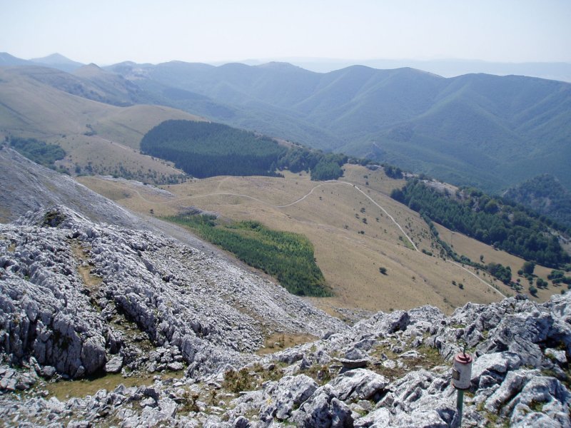 Duru tontorretik ikusita