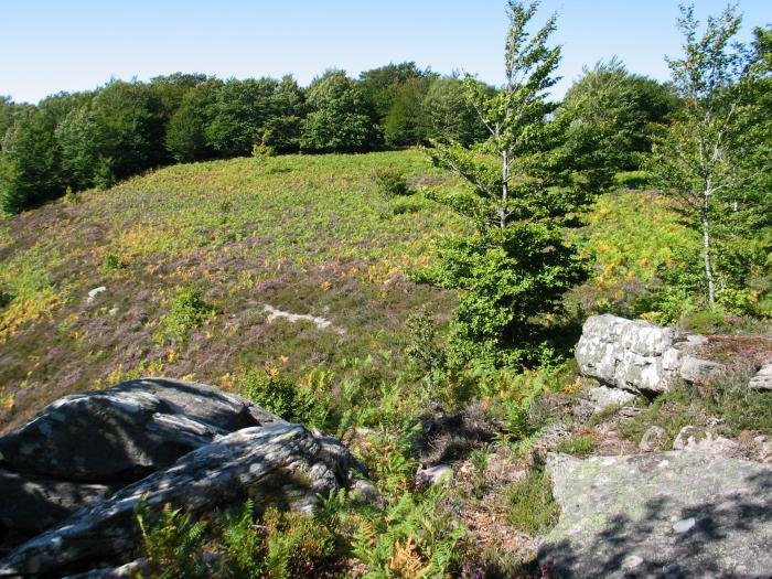 Hegoaldera luzatzen den hegiaren ikuspegia