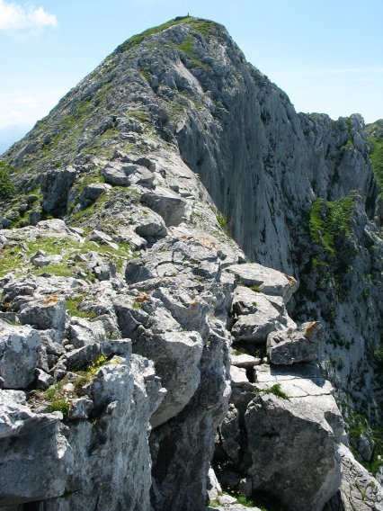 Tontorra Mko gandorretik