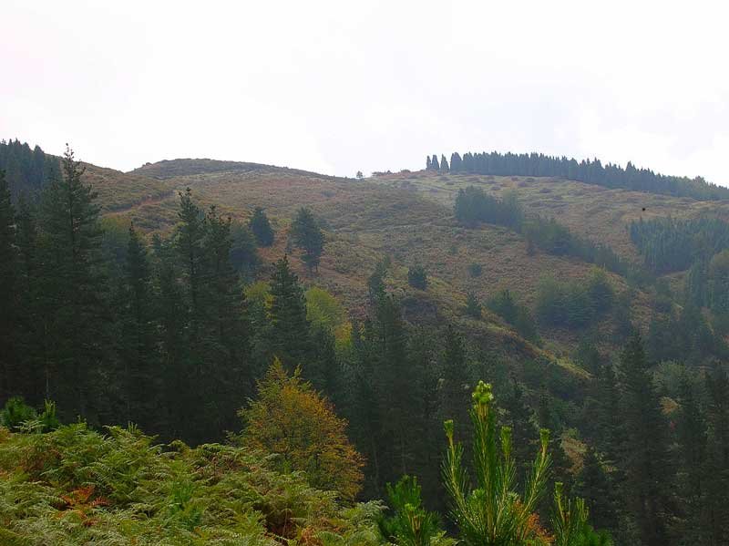 La cumbre ya se divisa cercana.