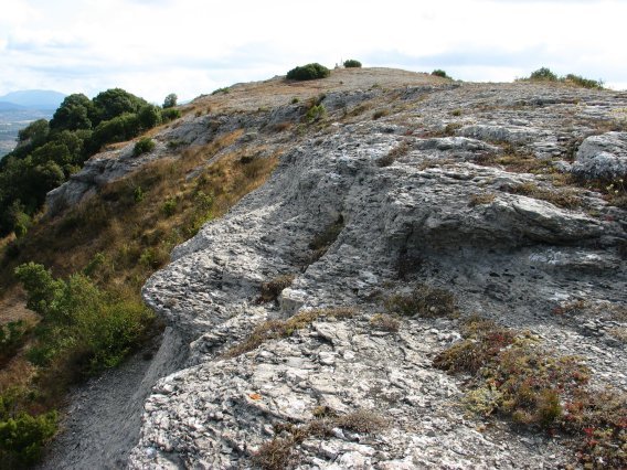 Gaina Mko bizkarretik ikusita