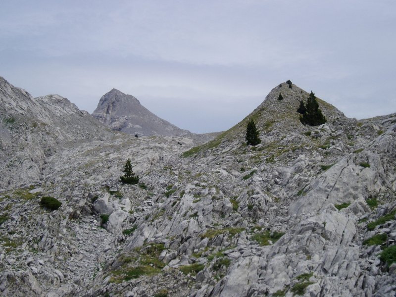 Larra; atzean Auñamendi