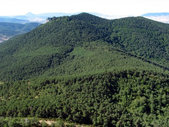 Berrondo haitzetik ikusita, Iparraldeko isurialdeko basoa