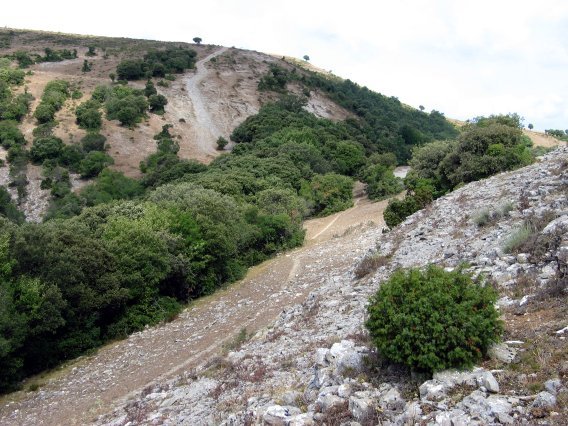 Ekialdeko lepotik ikusita