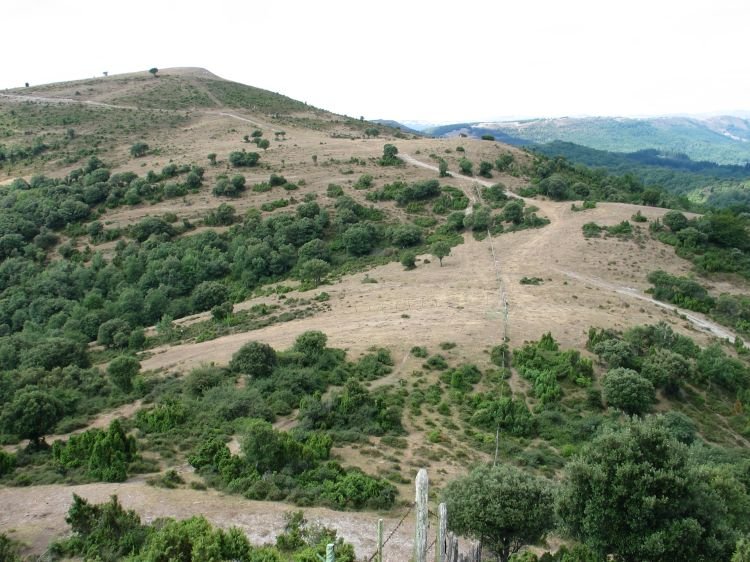 Armikelo, Arrato aldetik ikusita