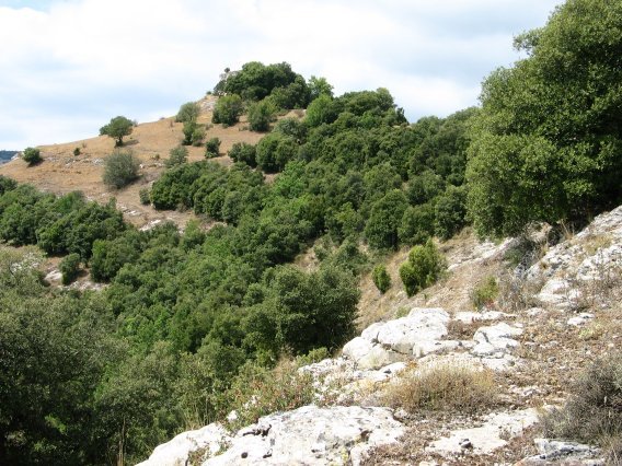 San Victor IEko bizkarretik