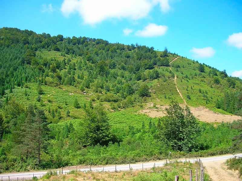 Sin embargo antes de ascender al Arralde hay que pasar primero por el Bastelarra.