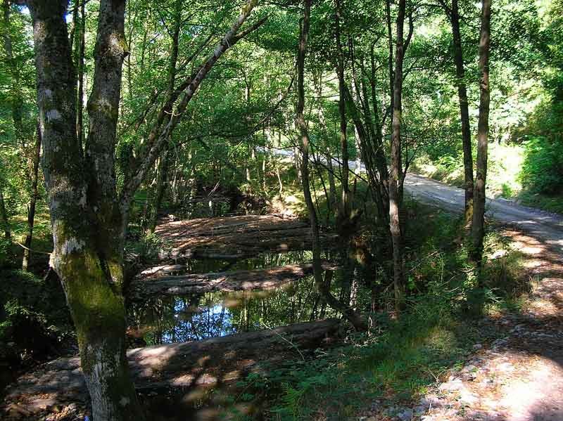 ?El camino es precioso!