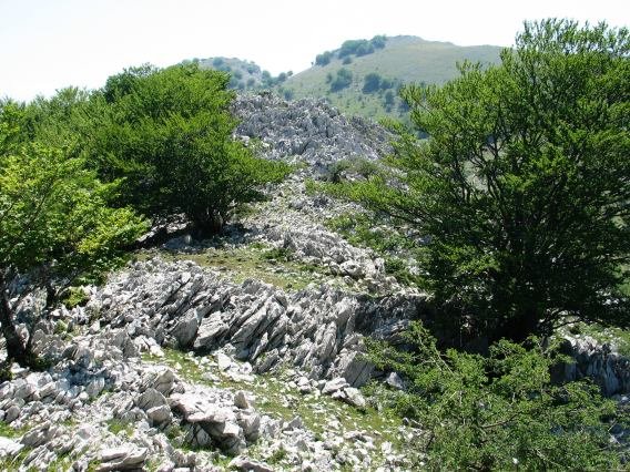 Tontorraren inguruak