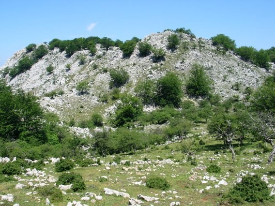 HEko isurialdea, Leungana aldetik