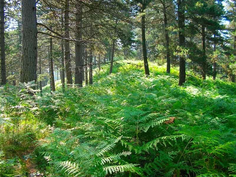 Dejamos atr?s el primer buz?n continuando por el cordal.