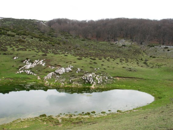 Putzua Baiza inguruan